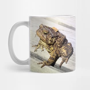 Toad Interrupted Mug